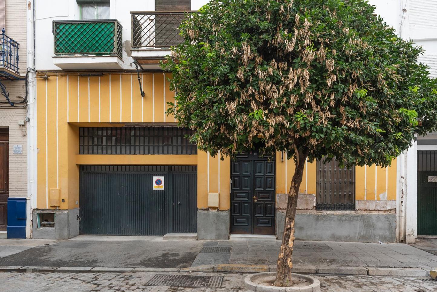 Alohamundi Castilla V-Vi Seville Exterior photo